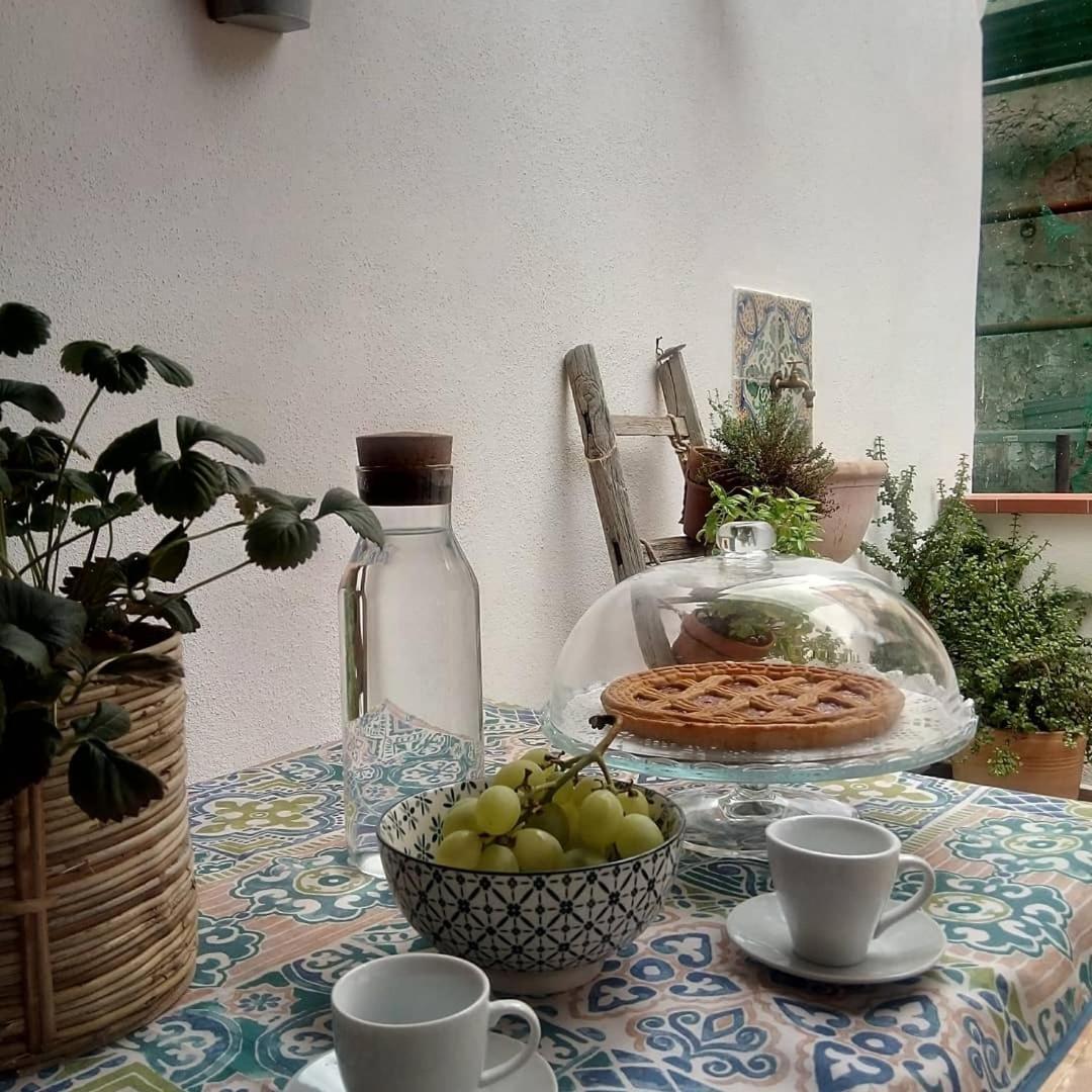 Il Terrazzino Sul Kemonia Daire Palermo Dış mekan fotoğraf
