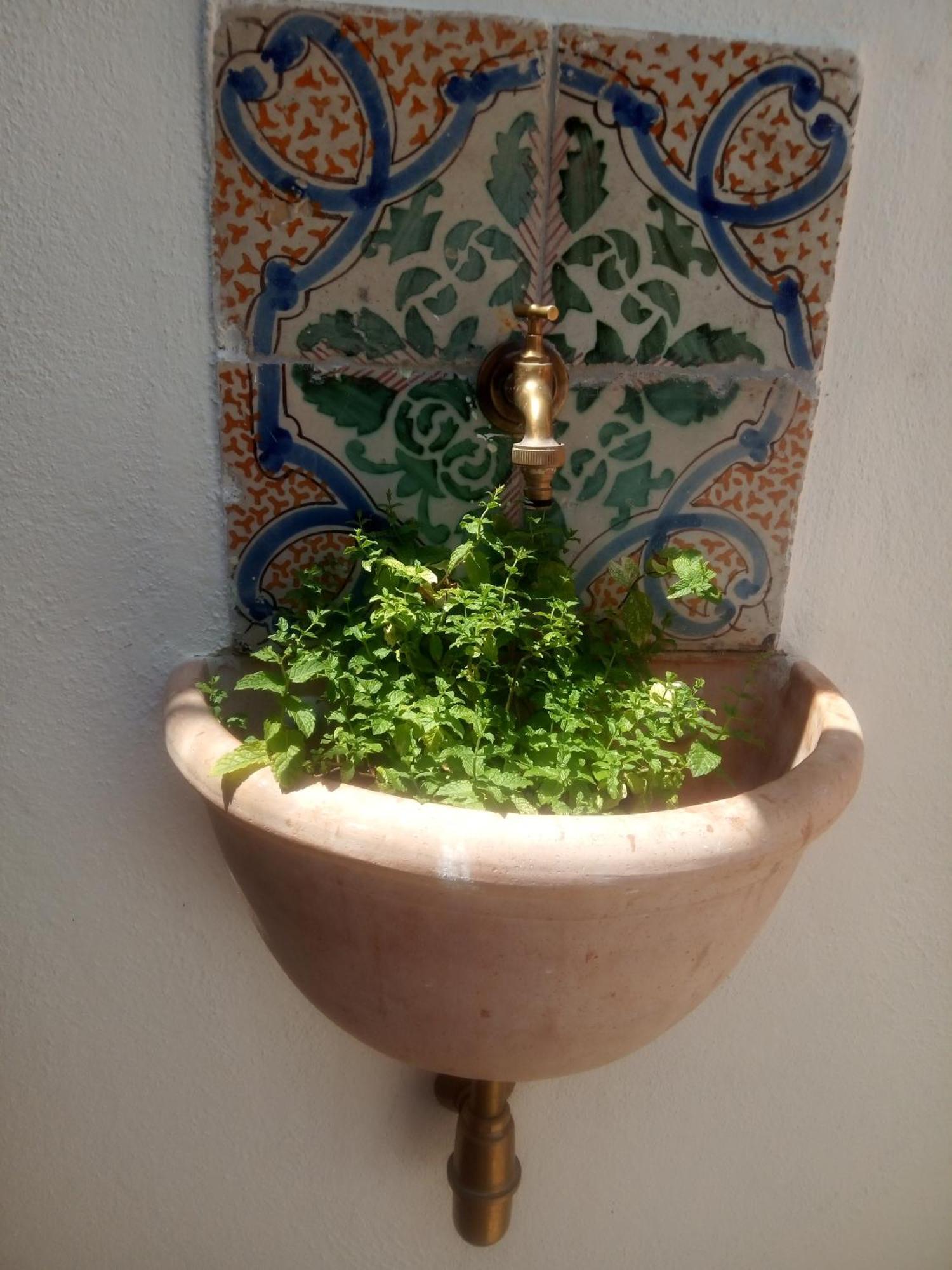 Il Terrazzino Sul Kemonia Daire Palermo Dış mekan fotoğraf