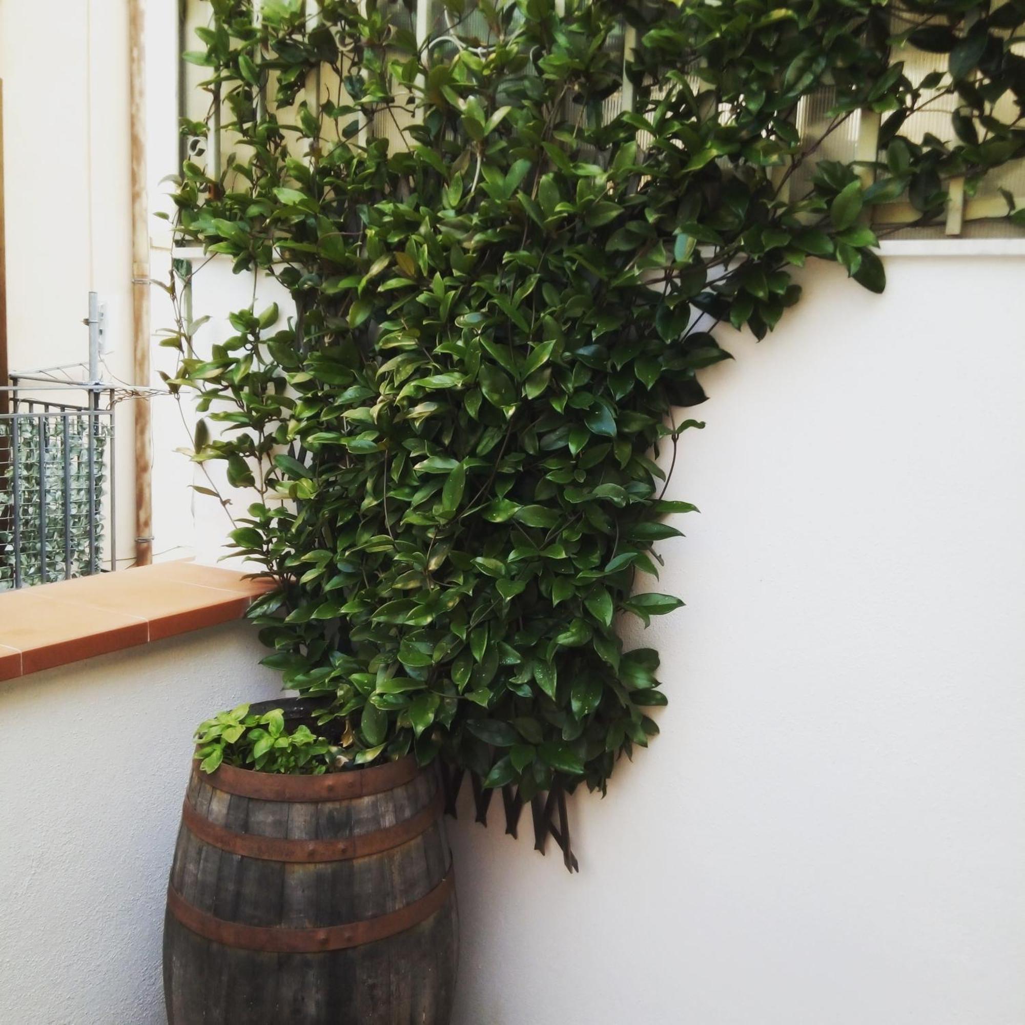 Il Terrazzino Sul Kemonia Daire Palermo Dış mekan fotoğraf